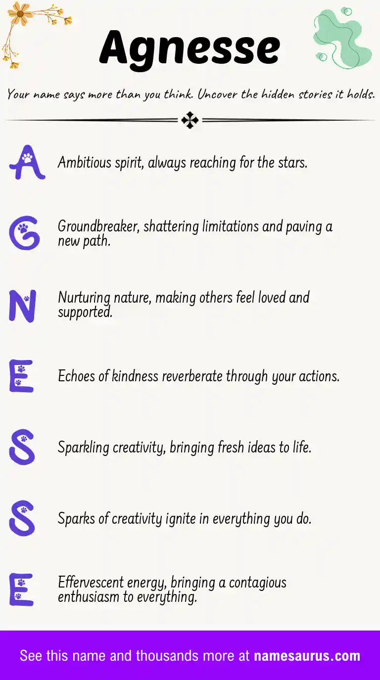 Acrostic poem about Agnesse.