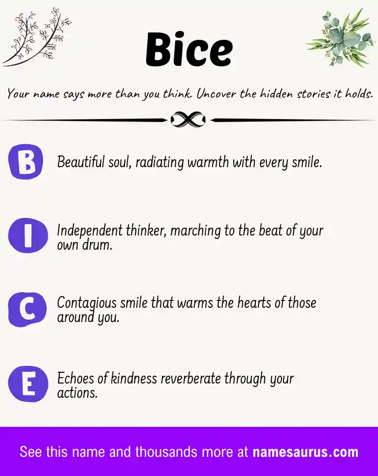 Acrostic poem about Bice.