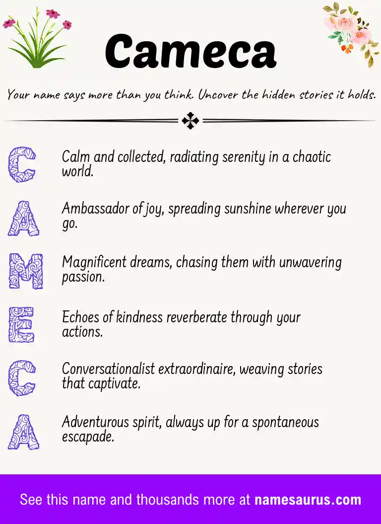 Acrostic poem about Cameca.