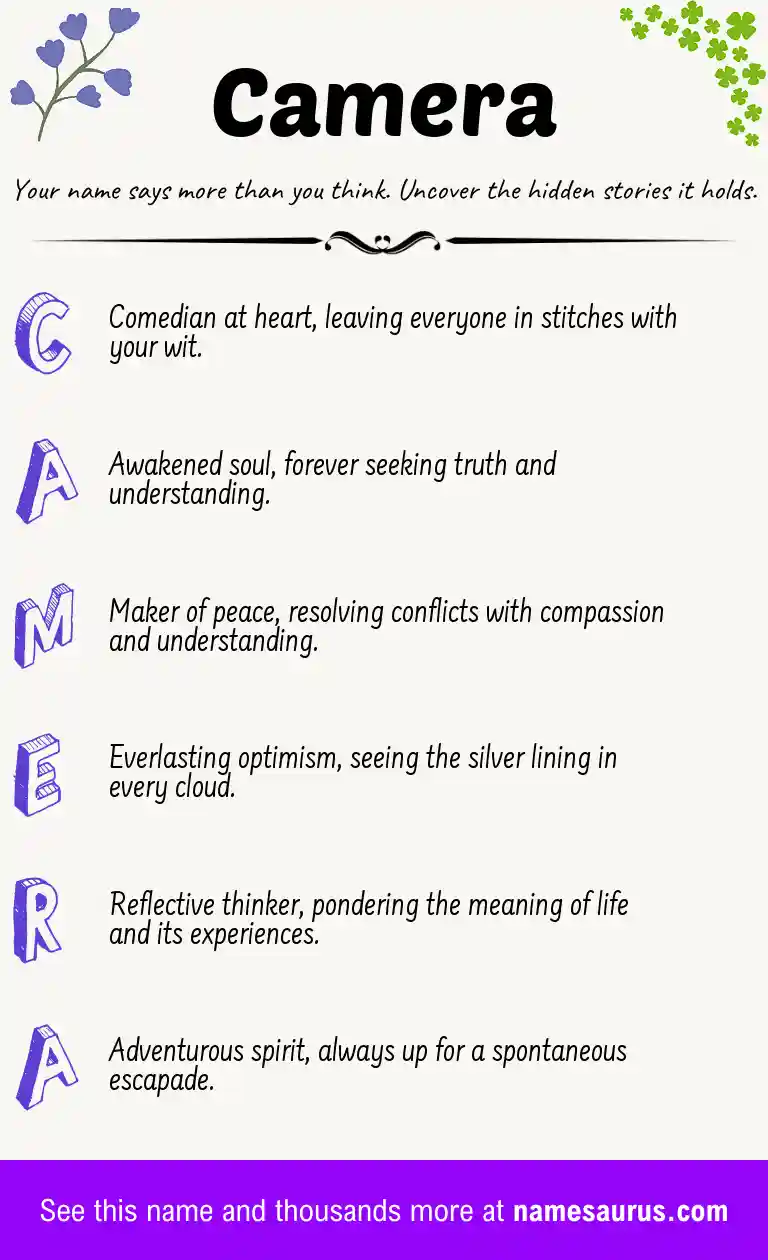 Acrostic poem about Camera.
