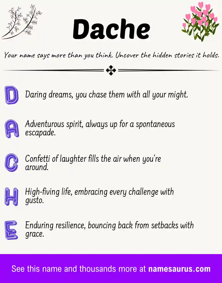 Acrostic poem about Dache.