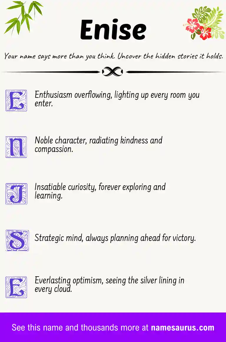 Acrostic poem about Enise.