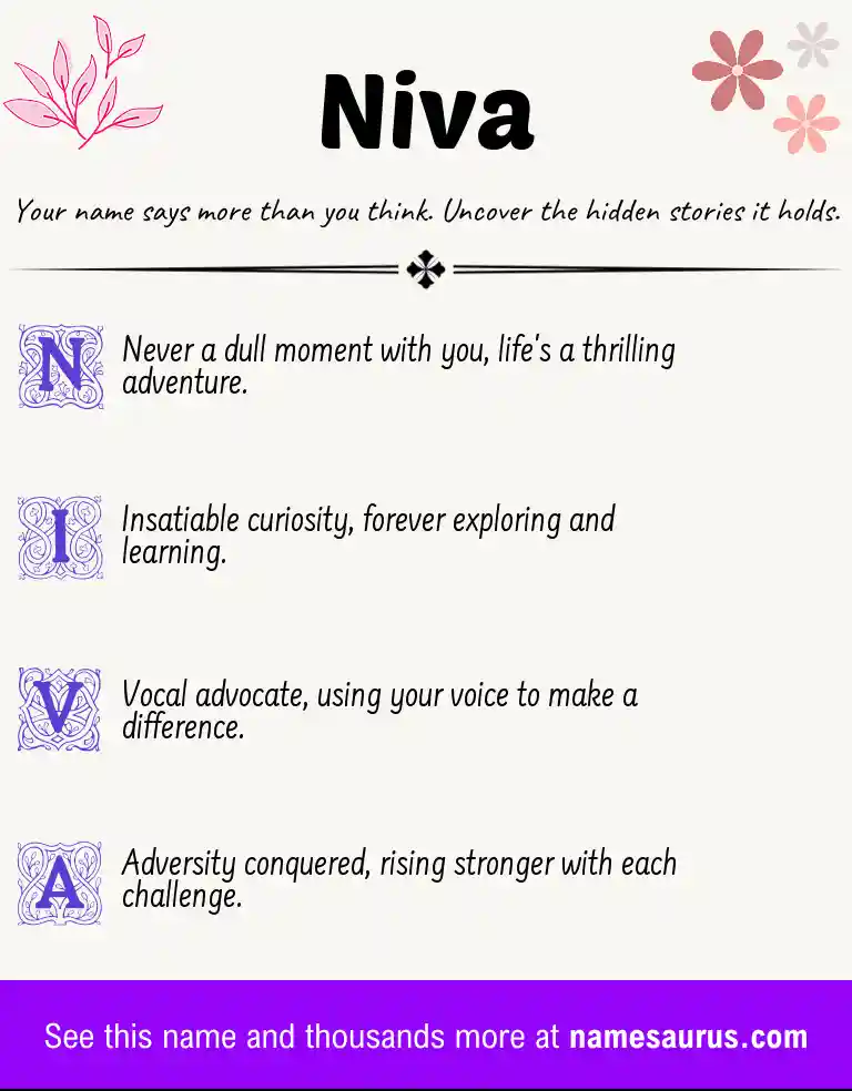 Acrostic poem about Niva.