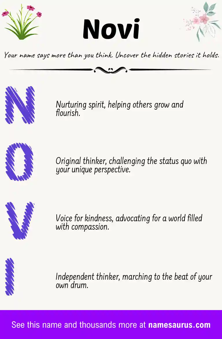 Acrostic poem about Novi.