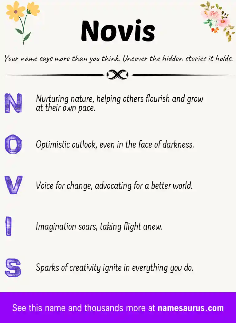 Acrostic poem about Novis.