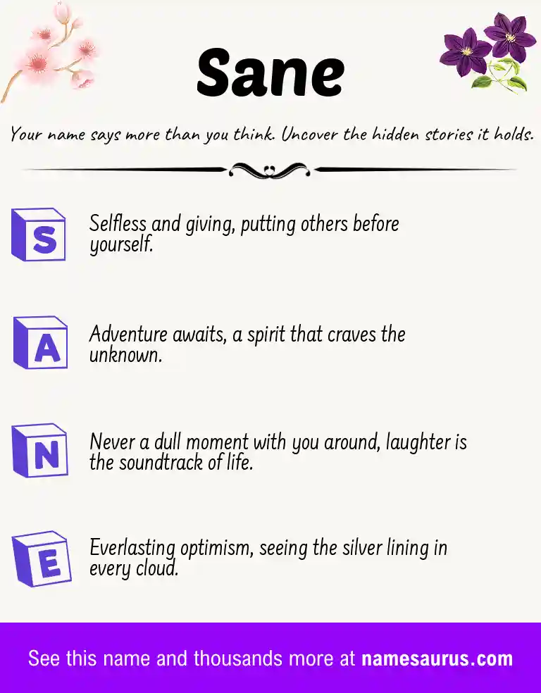 Acrostic poem about Sane.