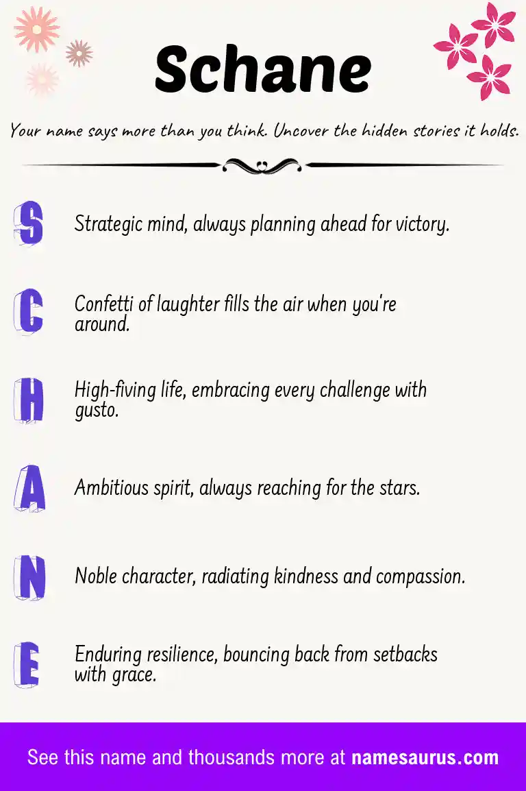 Acrostic poem about Schane.