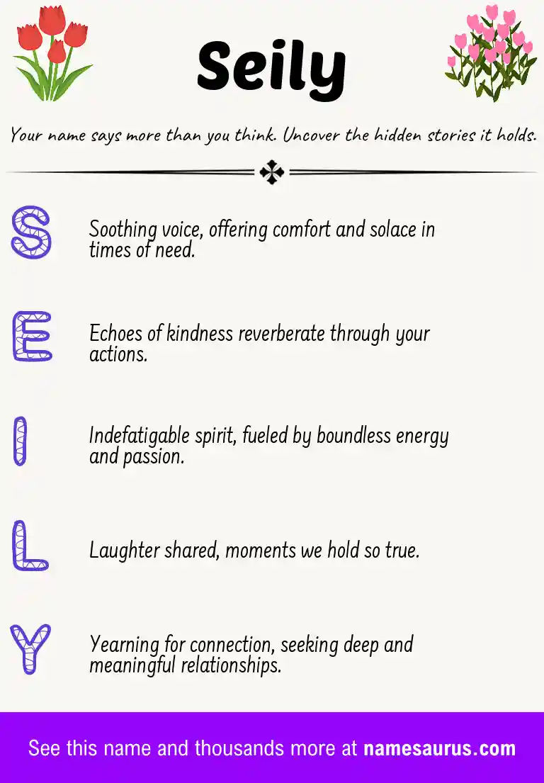 Acrostic poem about Seily.
