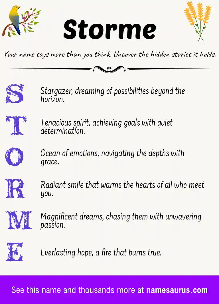 Acrostic poem about Storme.