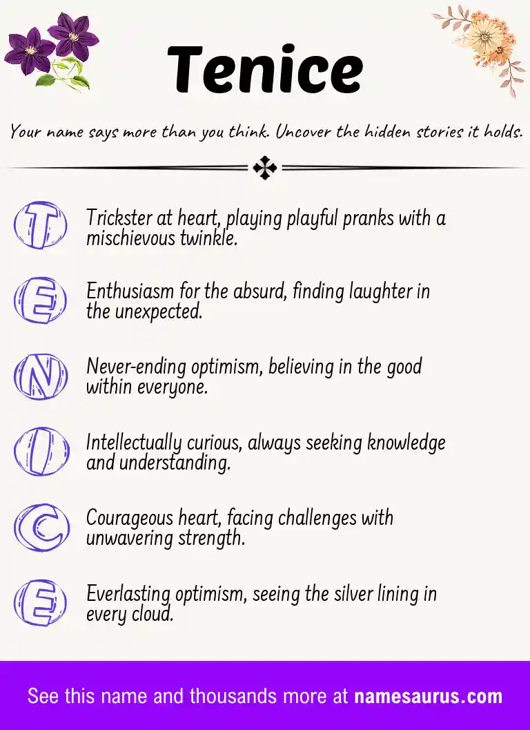 Acrostic poem about Tenice.