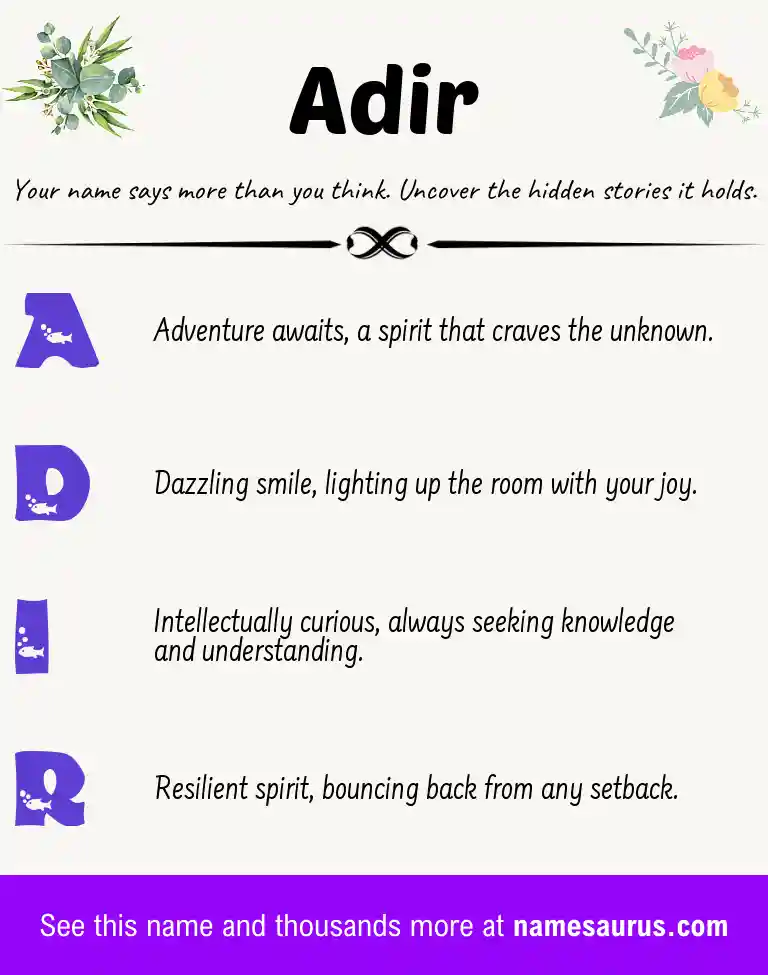 Acrostic poem about Adir.