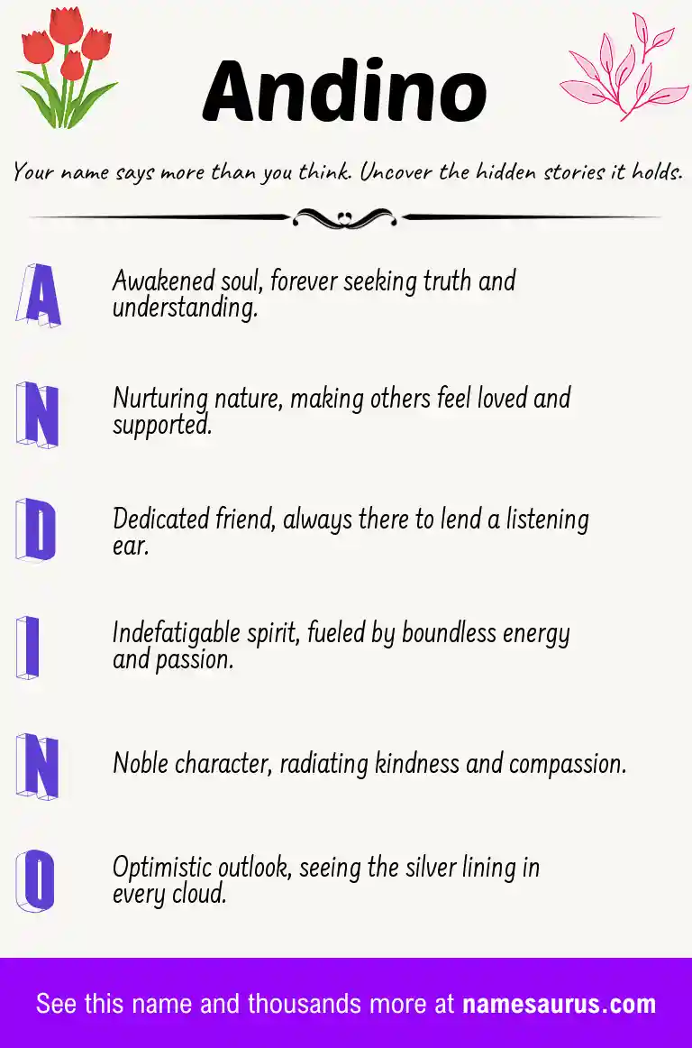 Acrostic poem about Andino.
