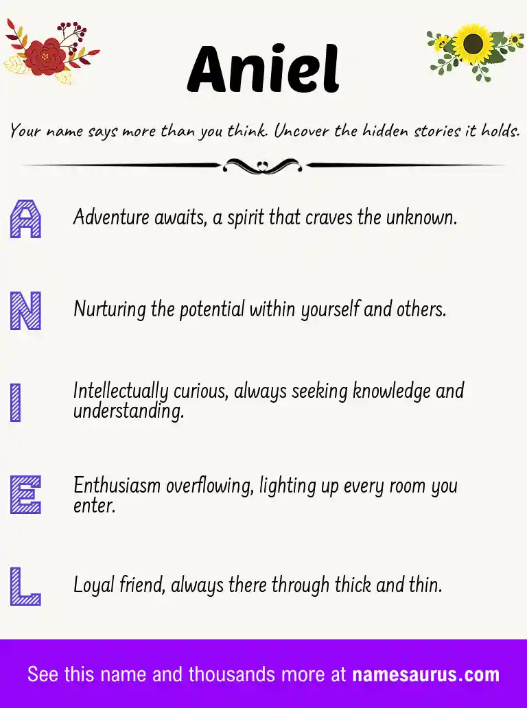 Acrostic poem about Aniel.