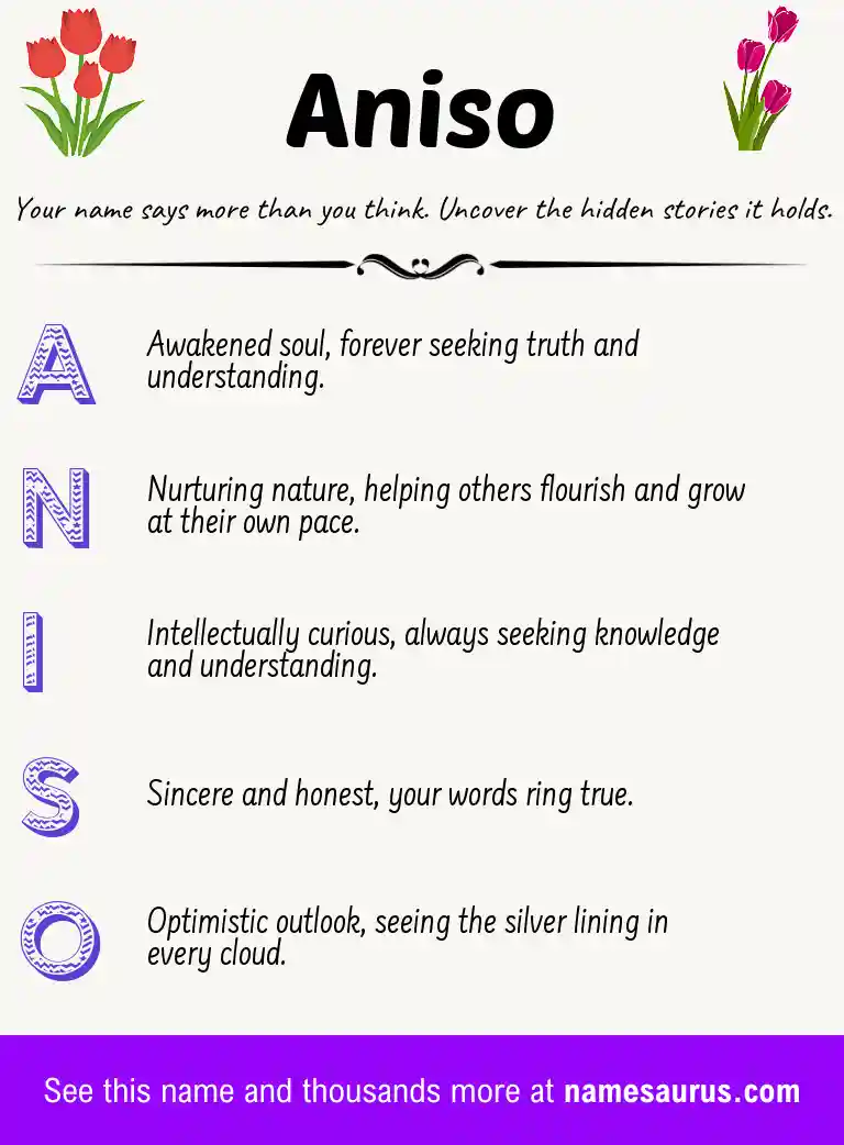 Acrostic poem about Aniso.