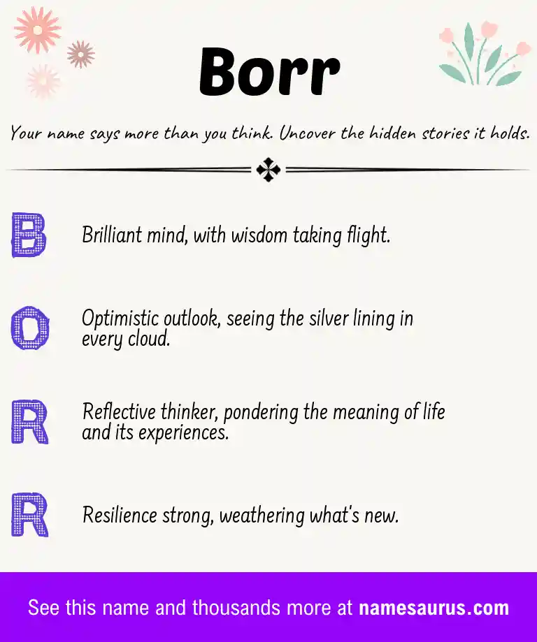 Acrostic poem about Borr.