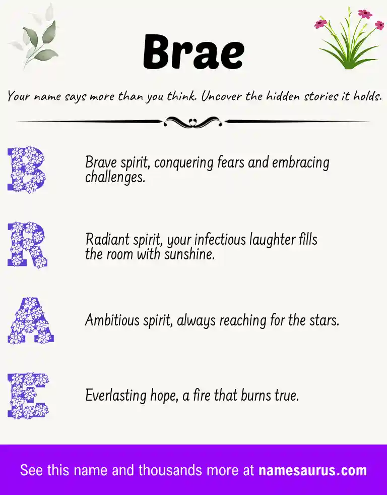 Acrostic poem about Brae.