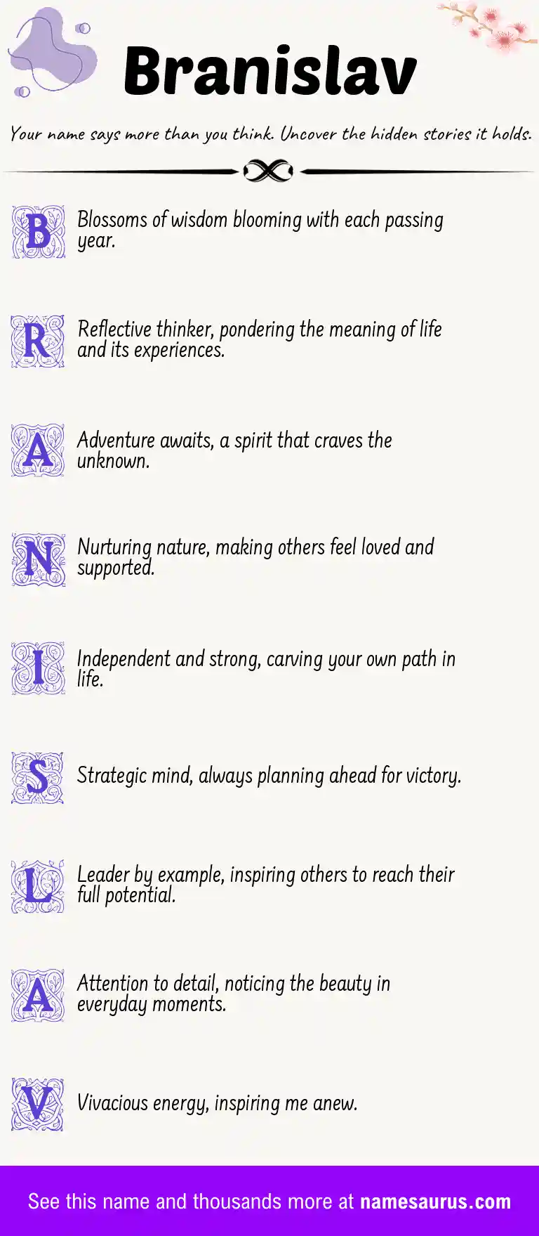 Acrostic poem about Branislav.