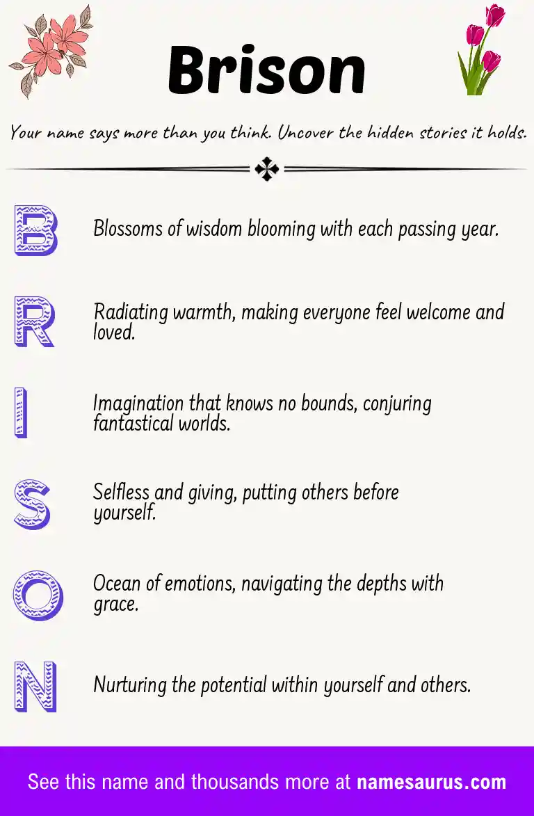 Acrostic poem about Brison.