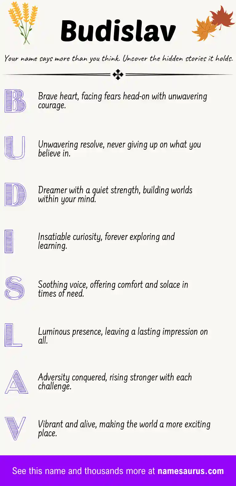 Acrostic poem about Budislav.