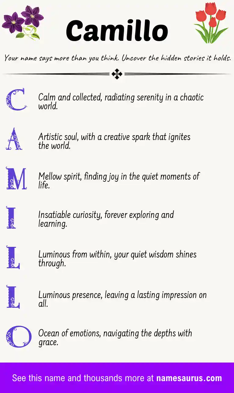 Acrostic poem about Camillo.