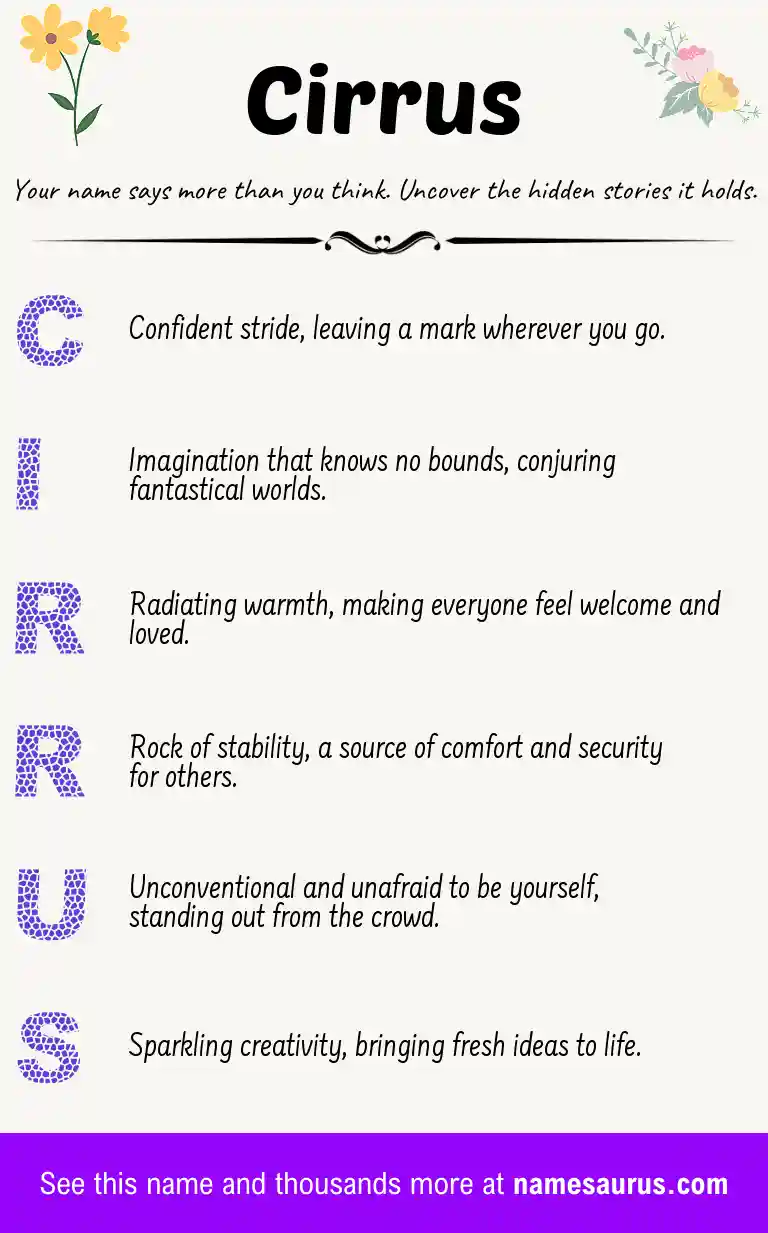 Acrostic poem about Cirrus.