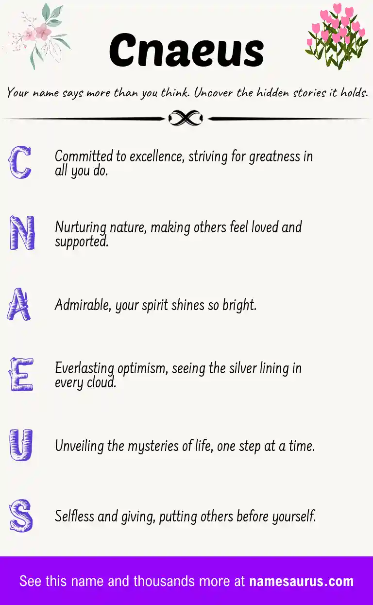 Acrostic poem about Cnaeus.