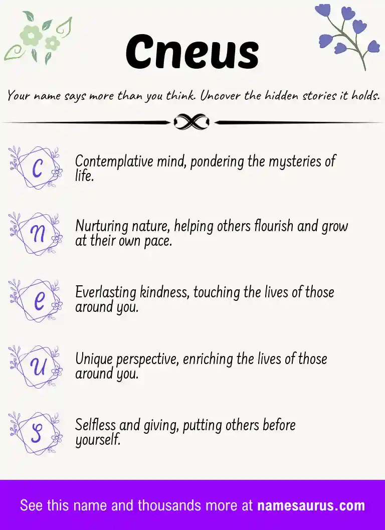 Acrostic poem about Cneus.