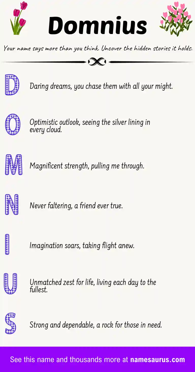 Acrostic poem about Domnius.
