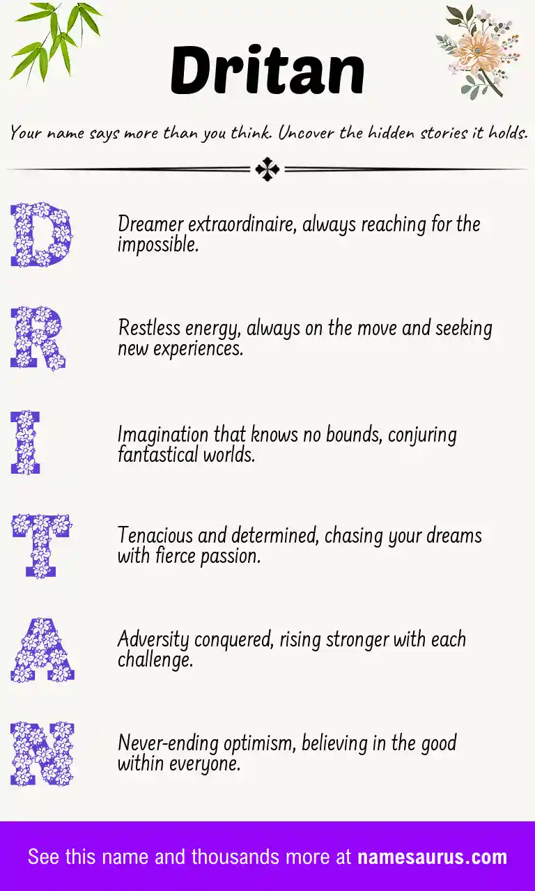 Acrostic poem about Dritan.