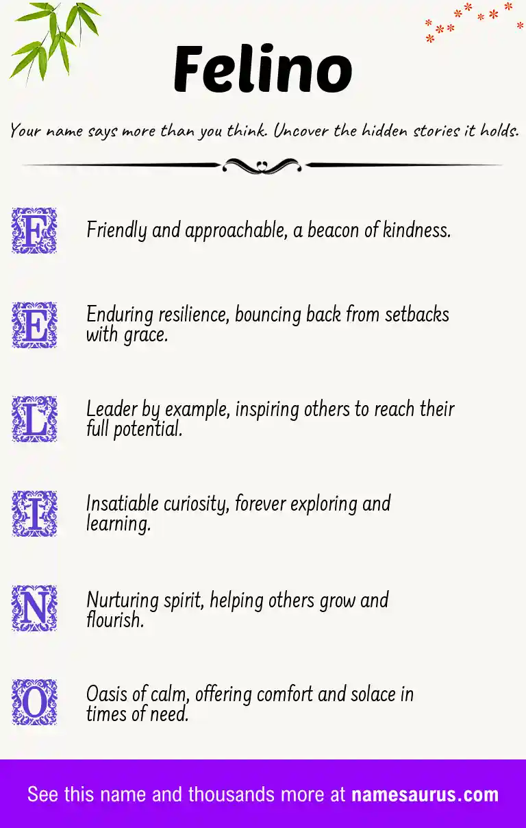 Acrostic poem about Felino.