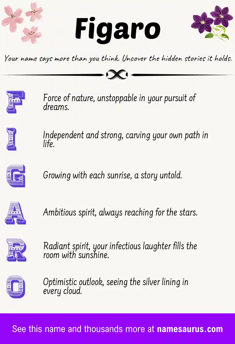 Acrostic poem about Figaro.