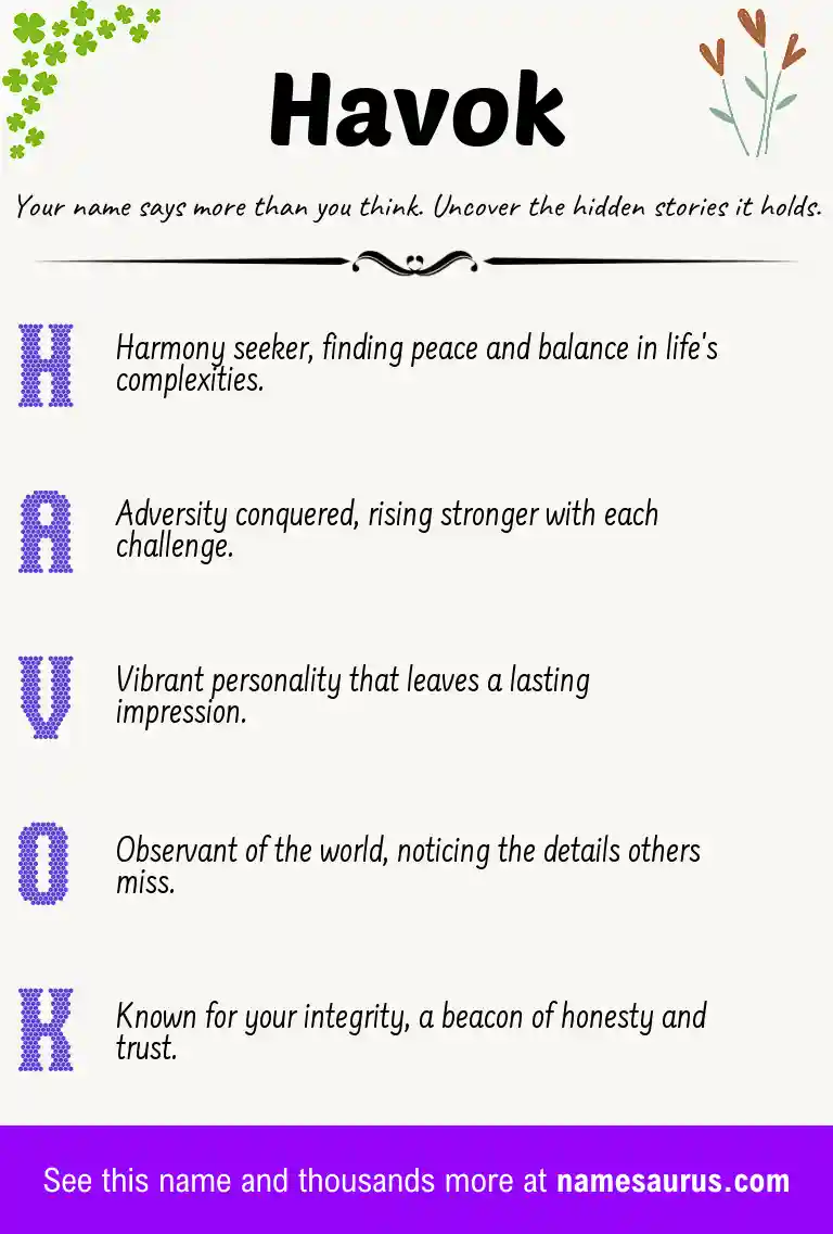 Acrostic poem about Havok.