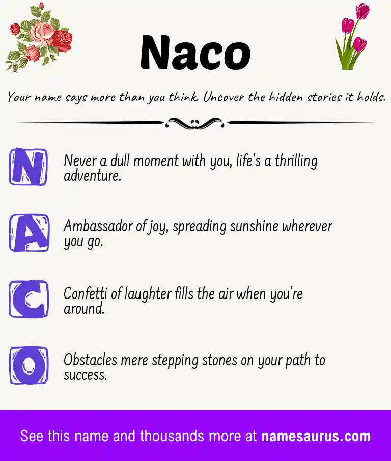 Acrostic poem about Naco.