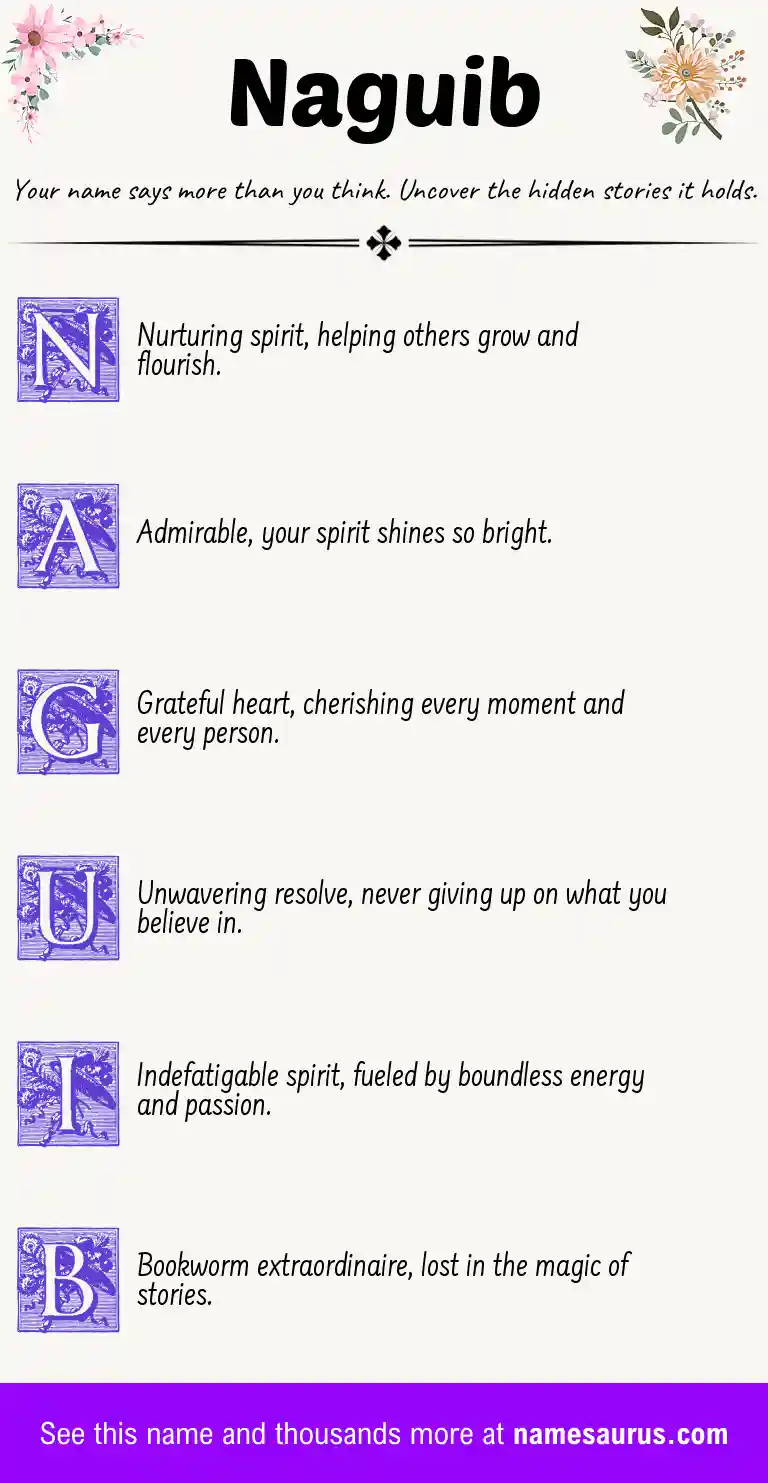 Acrostic poem about Naguib.
