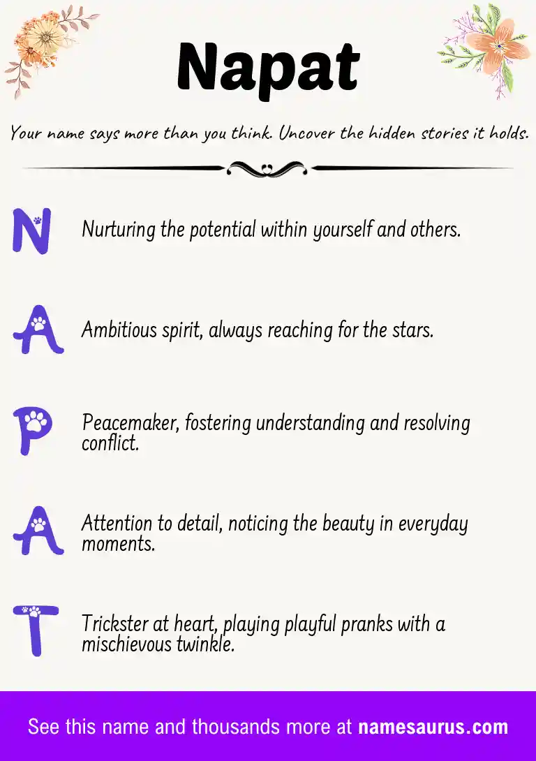 Acrostic poem about Napat.
