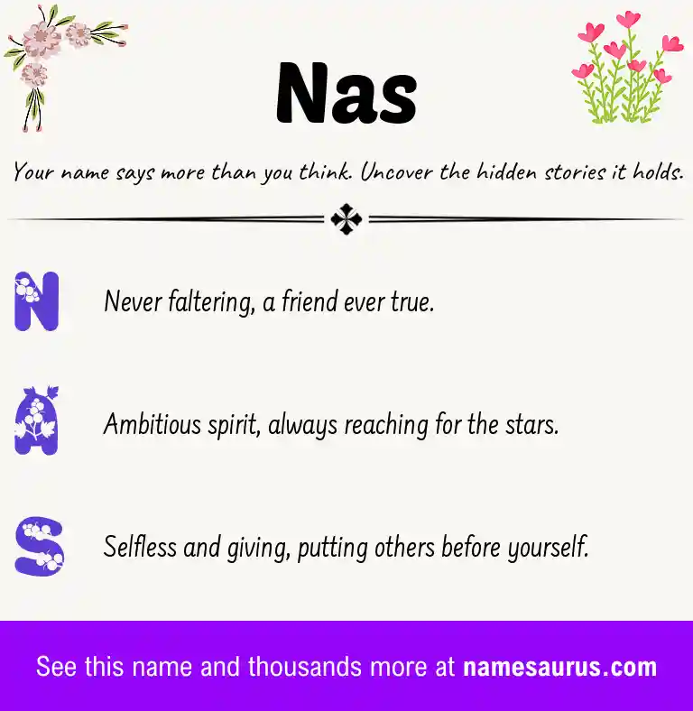 Acrostic poem about Nas.