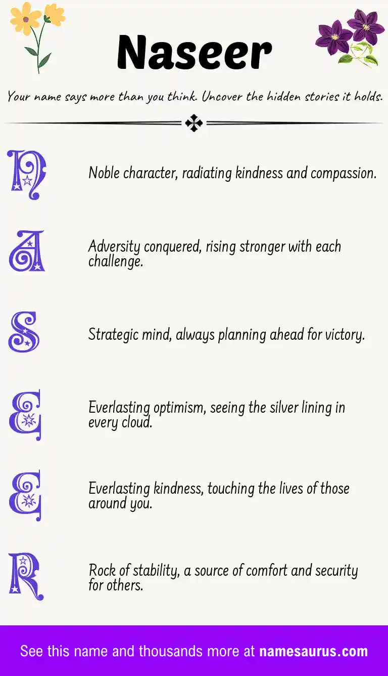 Acrostic poem about Naseer.