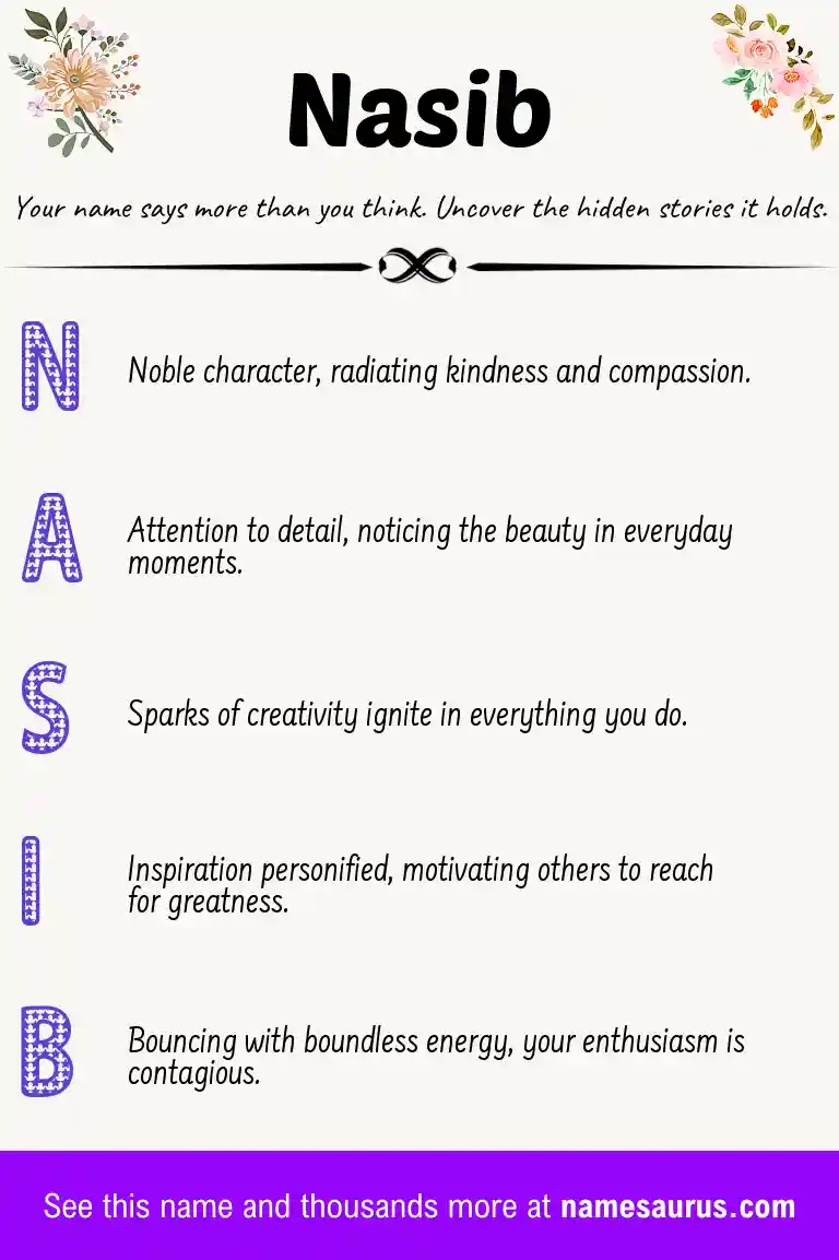 Acrostic poem about Nasib.