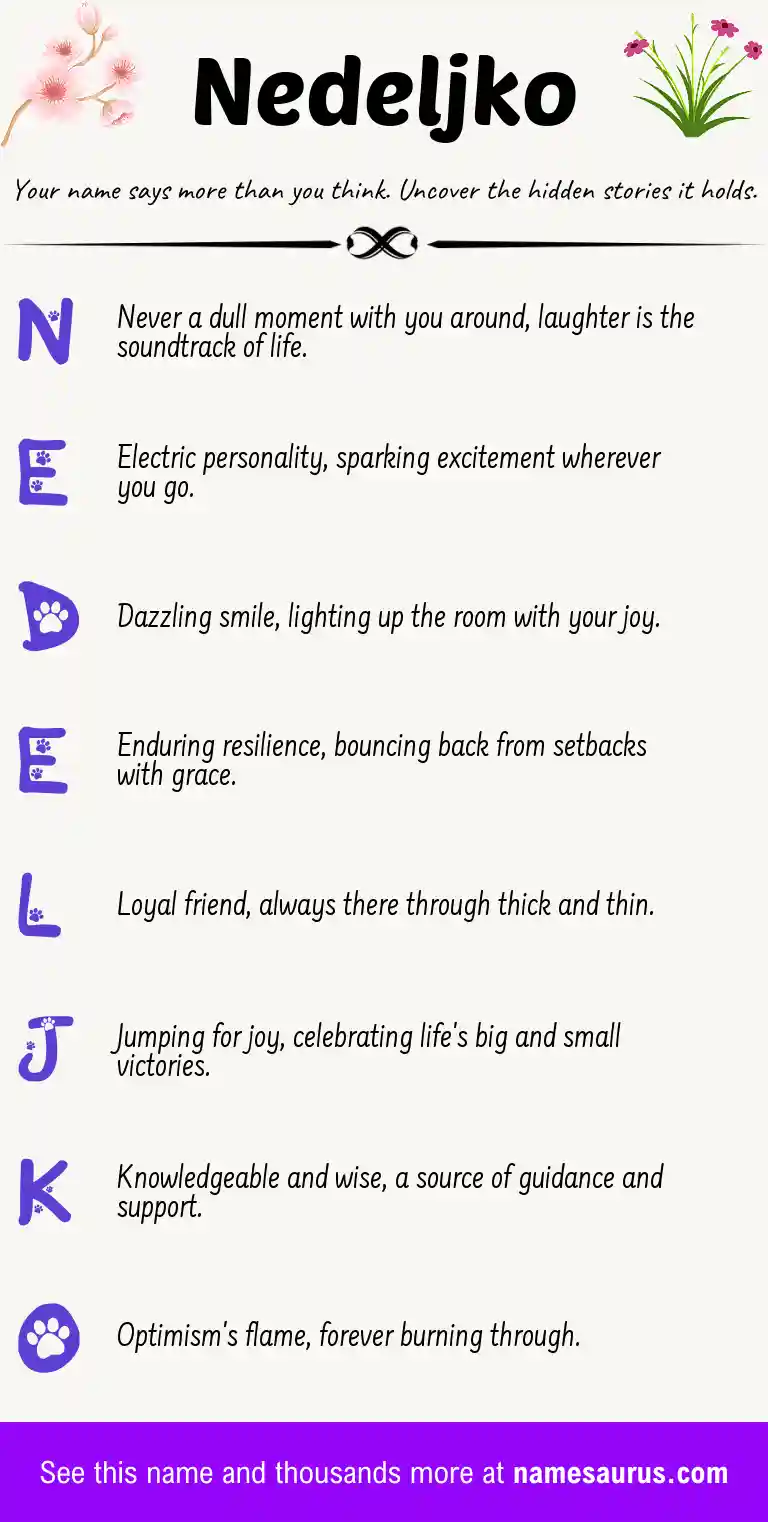 Acrostic poem about Nedeljko.