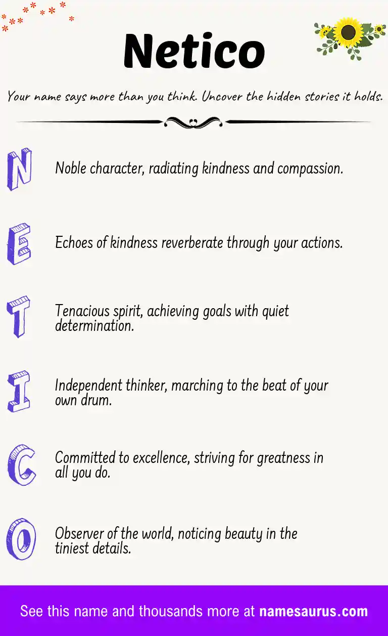 Acrostic poem about Netico.