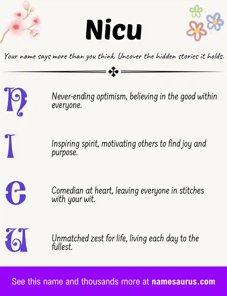 Acrostic poem about Nicu.