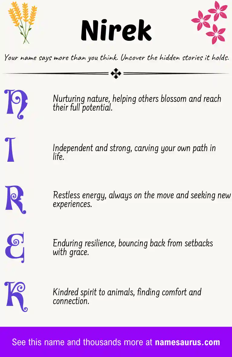 Acrostic poem about Nirek.