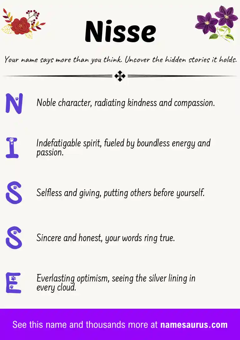 Acrostic poem about Nisse.