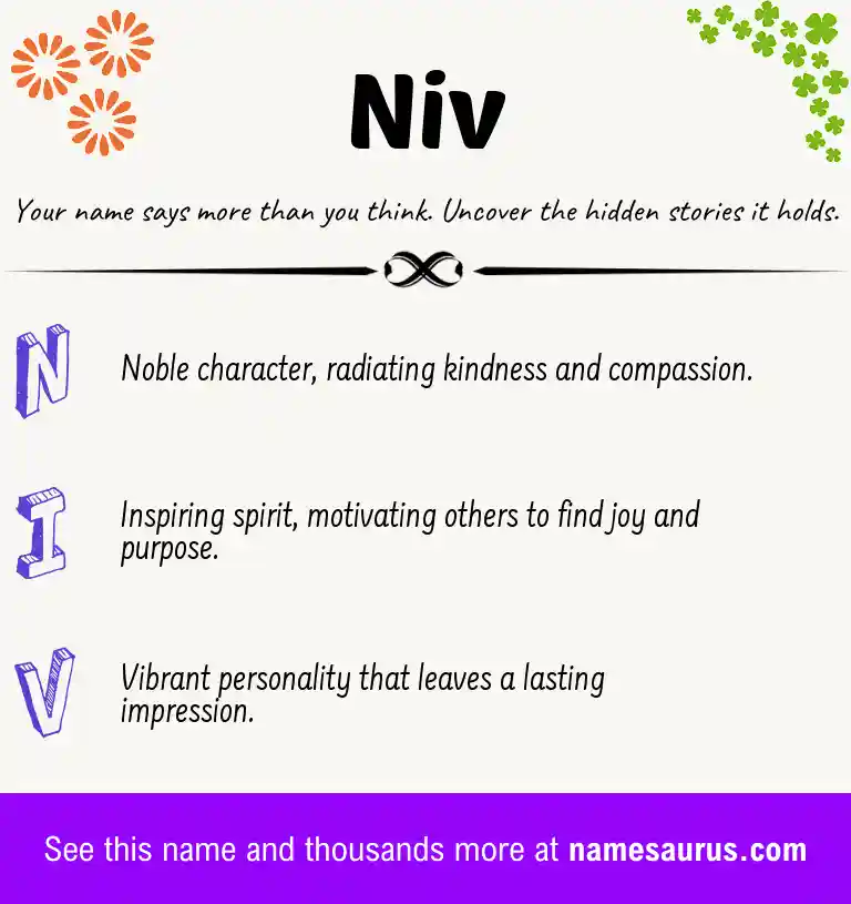 Acrostic poem about Niv.