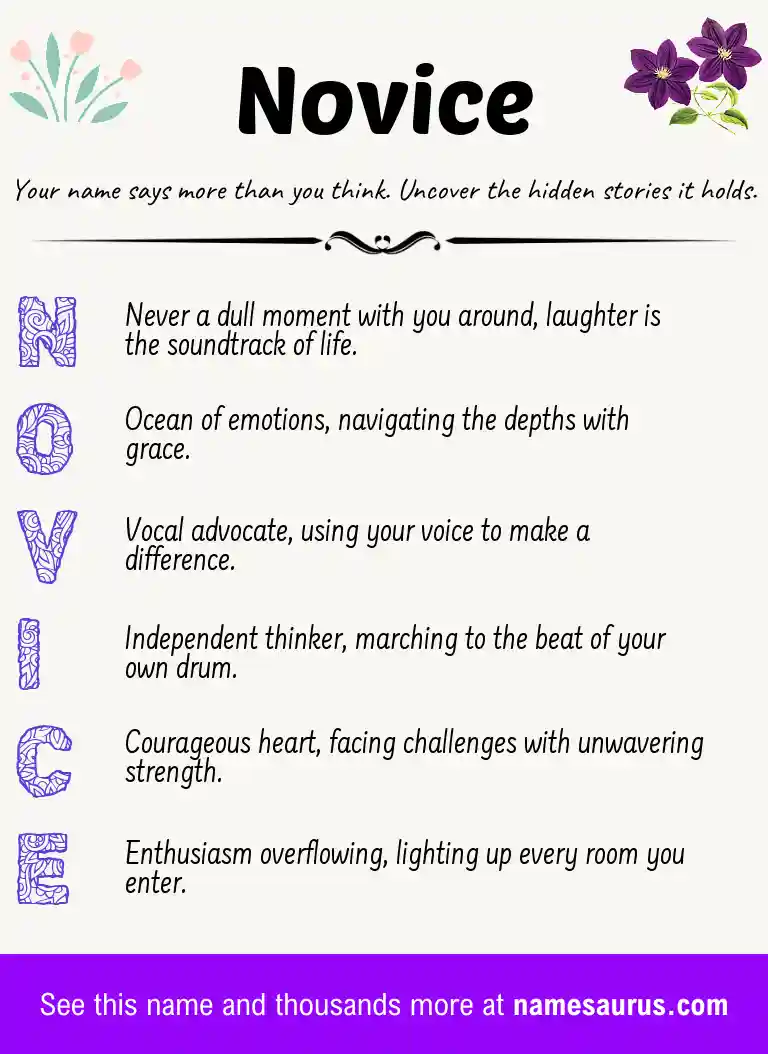 Acrostic poem about Novice.