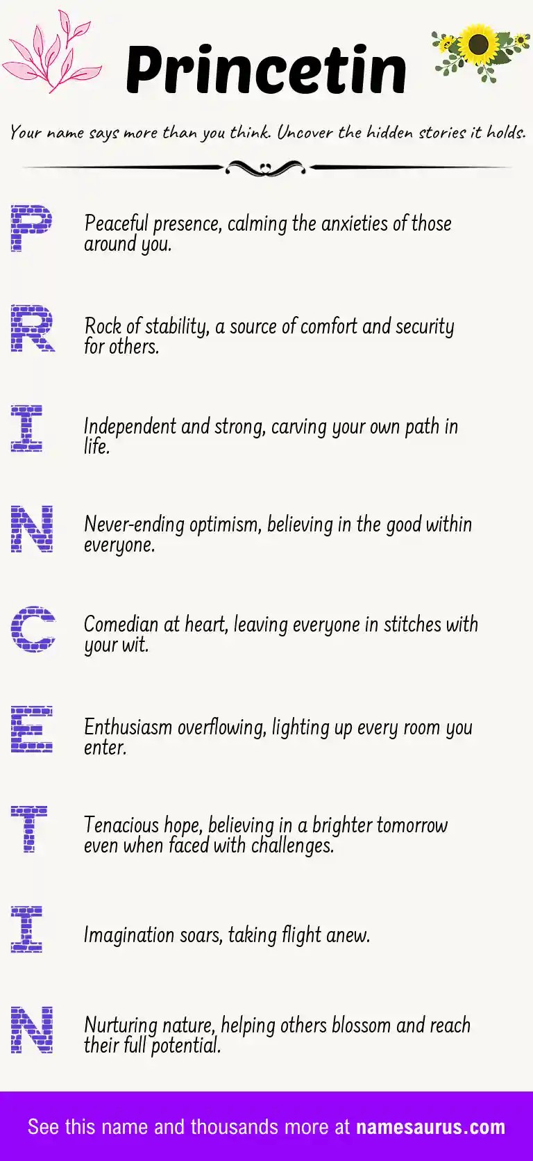 Acrostic poem about Princetin.