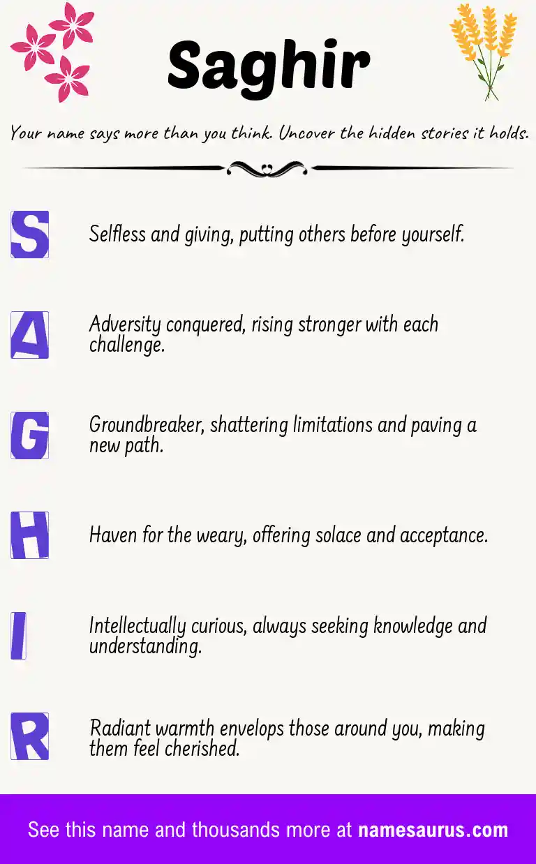 Acrostic poem about Saghir.