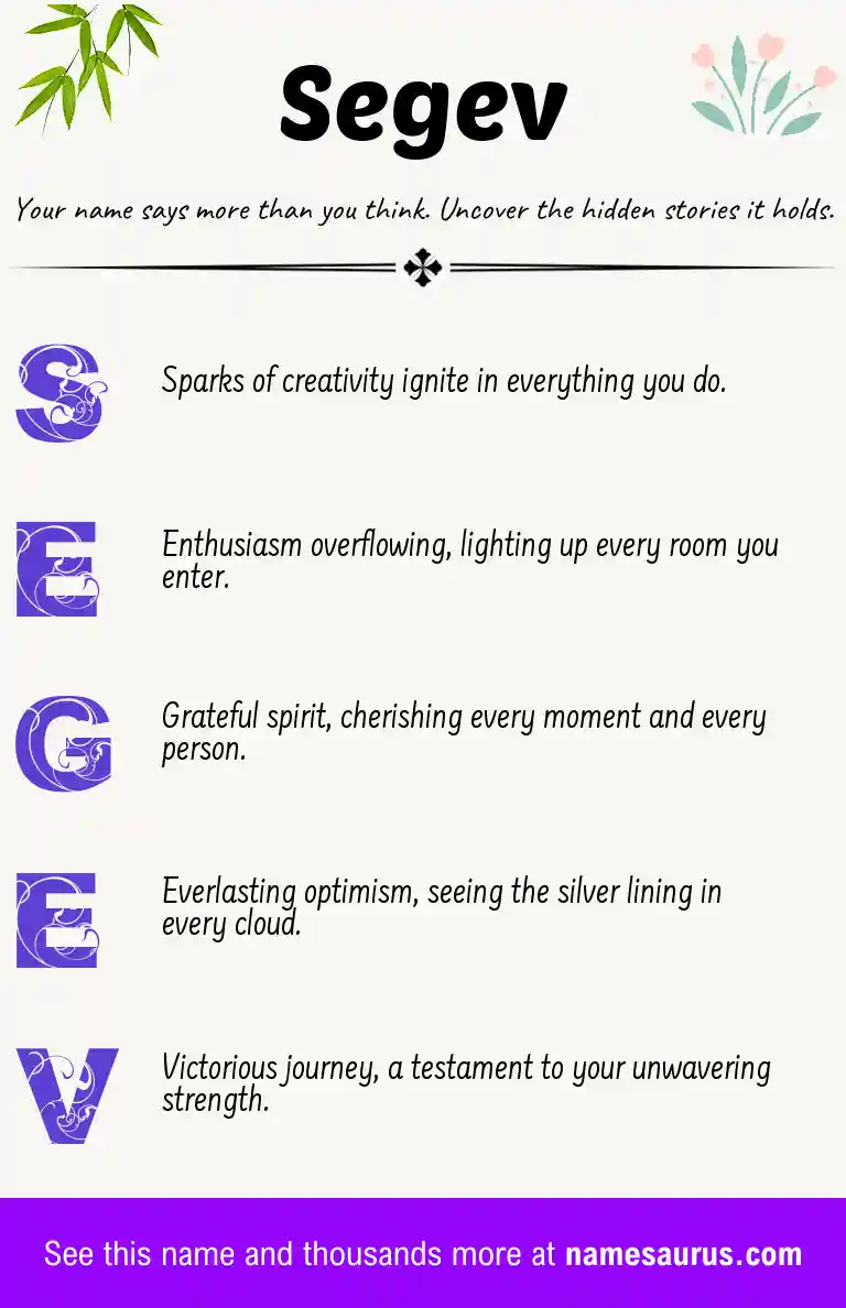 Acrostic poem about Segev.