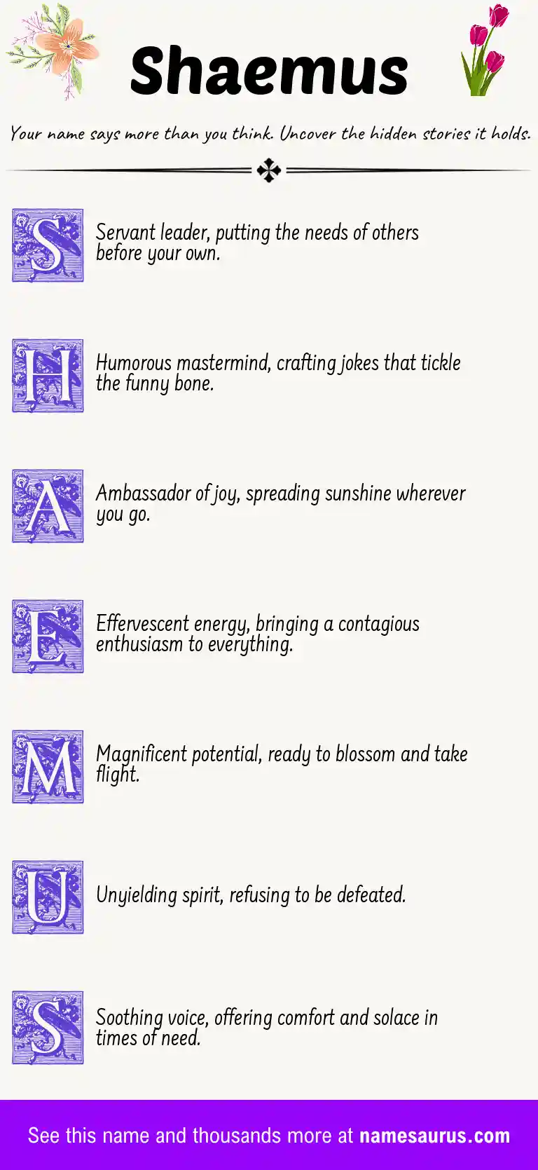 Acrostic poem about Shaemus.