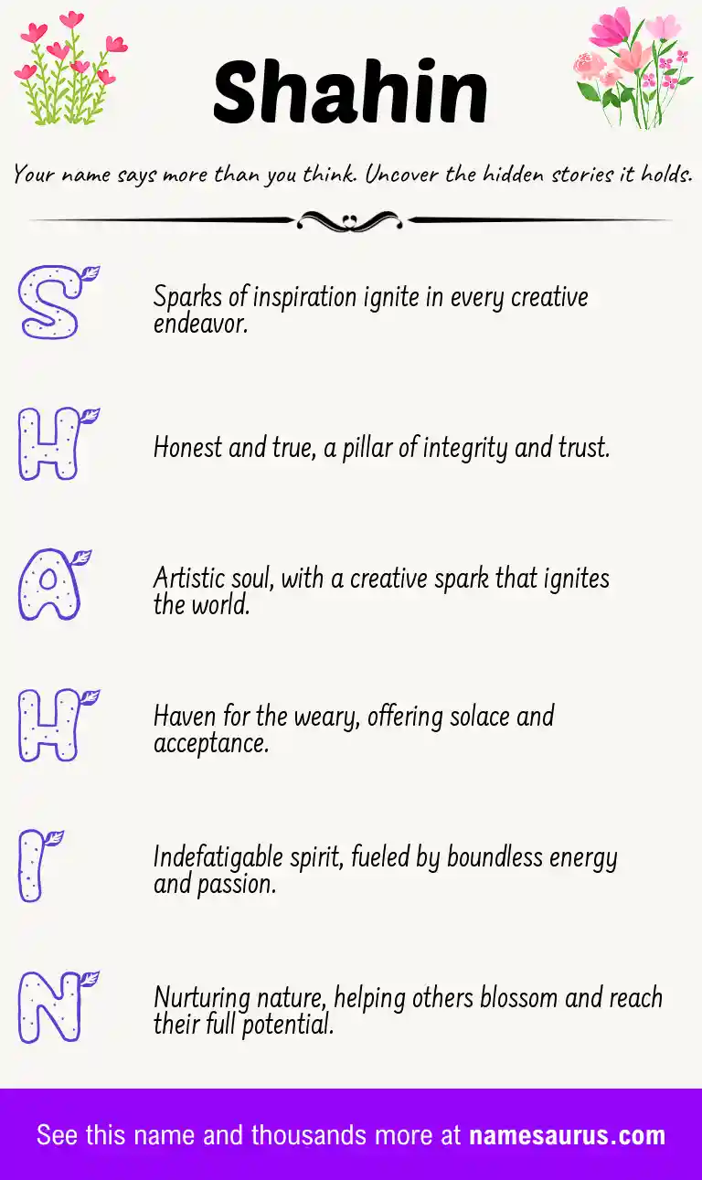 Acrostic poem about Shahin.